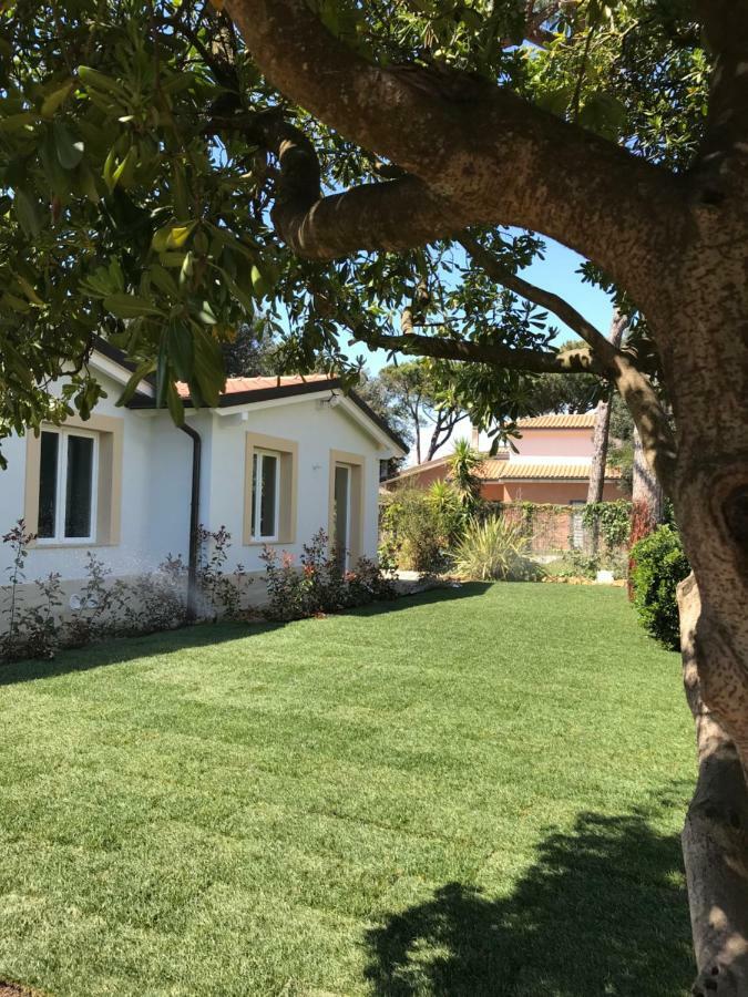 Hotel Il Miraggio Fregenae Esterno foto